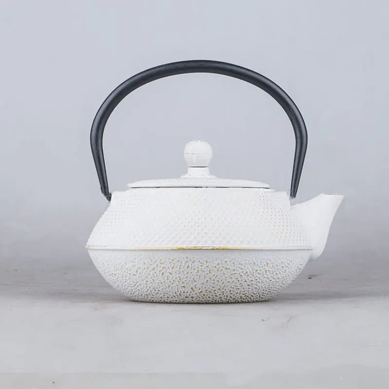 Cast Iron Teapot and Electric Pottery Set (Gift Set)