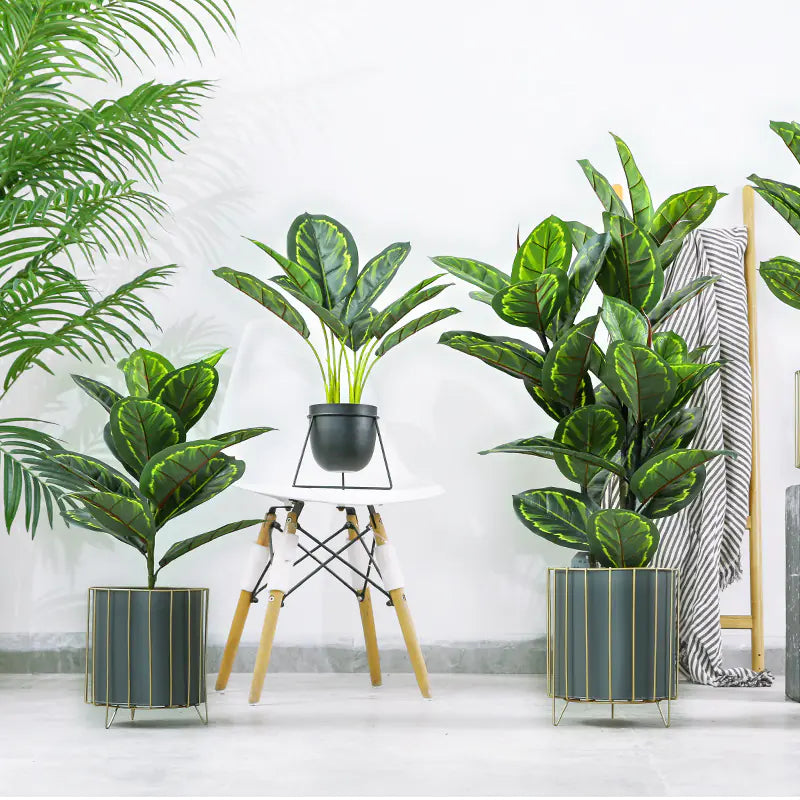 Nordic Style Iron Planter with Gold Trim (Large)